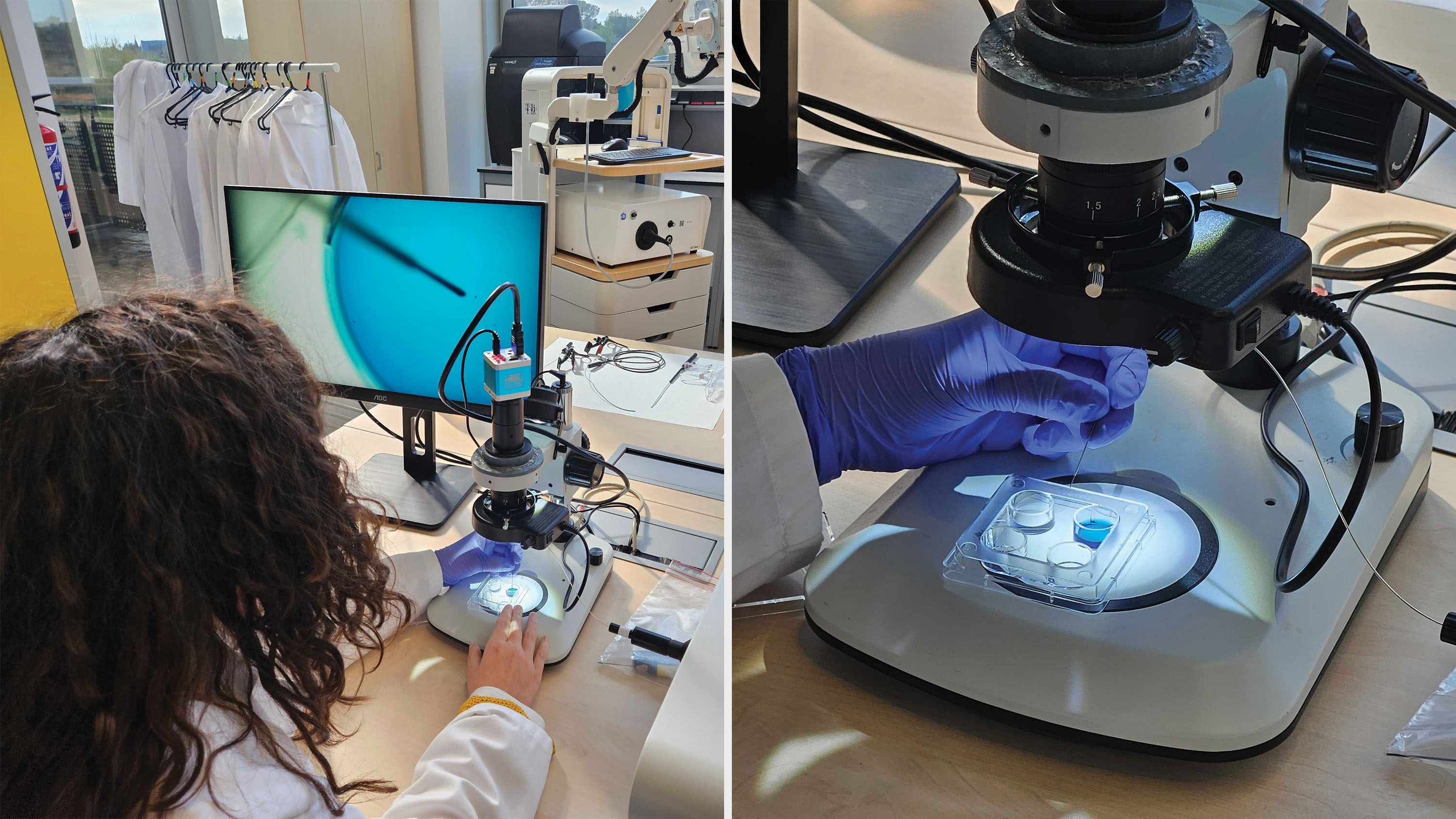 Scientists in Valencia showcase Transfer Direct.