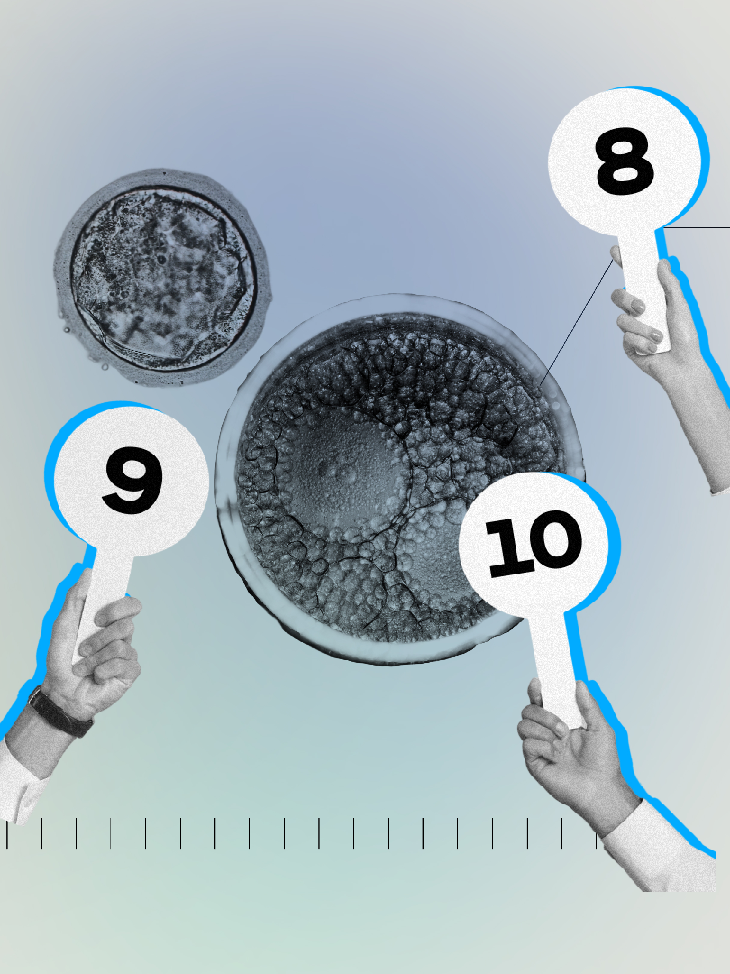 A montage collage featuring a microscopic view of embryos layered with a panel of hands raising numeric scores.