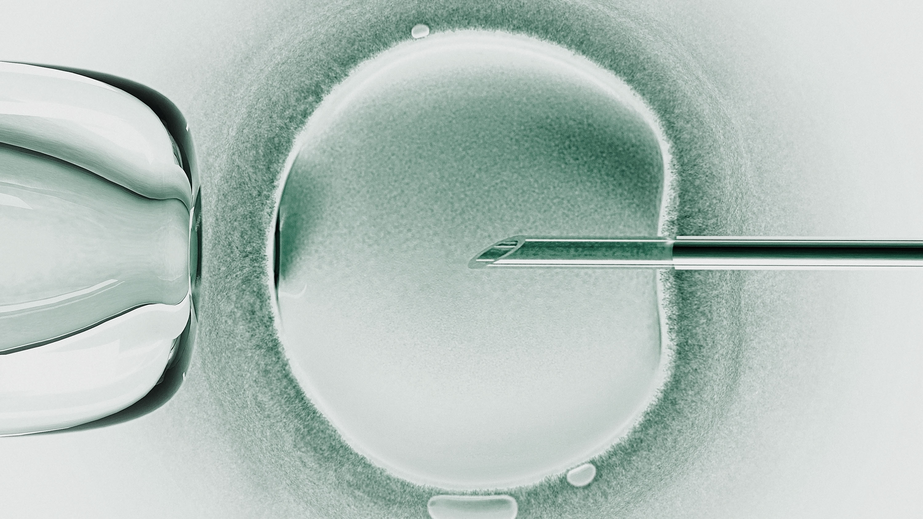 In vitro fertilisation, computer artwork.